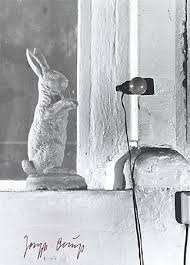 An iron sole was tied to the shoe beuys wore on his right foot. Joseph Beuys In The Action Explaining Pictures To A Dead Hare 1965 Printed 1997 By Ute Klophaus Joseph Beuys Art Gallery Of Nsw