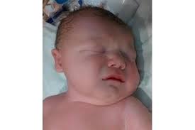 Edward Sitton Obituary (2014)