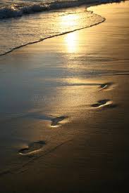 Select from premium footprints sand of the highest quality. Pin On Modulopgave