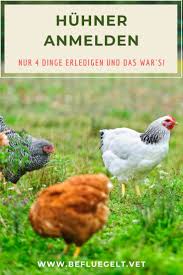 Huhner Anmelden In 2020 Huhner Im Garten Gemuse Anpflanzen Huhner