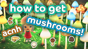 Pin On Animal Crossing New Horizons