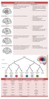 Type Location Basic Characteristics Of Aphasia Cheat