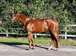 Hiya!! I'm currently a stay at home mom, but looking to up our incomes to  two… Unfortunately my boyfriend works from 10am-8pm everyday. Looking for  anything remote or even something I can