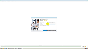 sap business one user admin setting up users licenses in