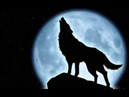 Un film assez différent de ce qu'on a l'habitude de voir dans le cinéma français et qu'on a plus l'habitude de voir. Le Hurlement Du Loup Youtube