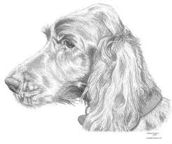 Irish Red Setter Dog Limited Edition Art Drawing Print Signed Etsy Red Setter Dog Irish Red Setter Limited Edition Art