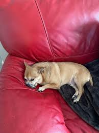 Patty Egan (@PattyGrg)