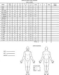 Burn Injuries Musculoskeletal Key