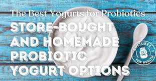 Probiotic Yogurt | Discover the Best Yogurt for Probiotics and Gut Health -  Cultures For Health