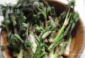 意外と知らないウドの食べ方 おいしいねっと