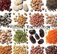 CCD Peanut Color Sorter Machine Color Sorting Machines with Factory Price in Hefei