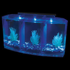 However, this reputation has already been disproven too many times because, as you'll see for yourself, there are fish compatible with bettas. Review The Aqueon Betta Falls By Aquarist Guide Updated January 2021