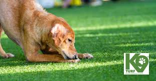 Check spelling or type a new query. K9 Turf Artificial Grass Essex Blog Why Choose K9 Turf