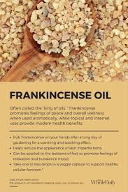 Top 8 Uses For Frankincense Essential Oil Alice Nicholls Frankincense Oil Uses Frankincense Essential Oil Benefits Frankincense Essential Oil
