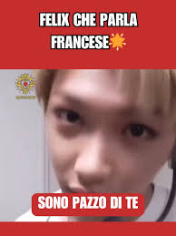 Felix degli Stray Kids: Parole di conforto in francese