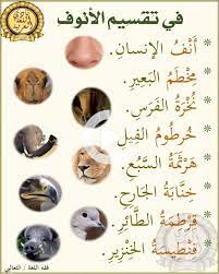learning quotes learning quotes knowledge leadership early childhood education educational science quotes learning quotes arabic langauge