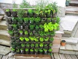 Instead of tossing used plastic bottles, hold onto them. Make A Vertical Garden Using Repurposed 2 Liter Plastic Bottles Garden Layout Vegetable Small Vegetable Gardens Home Vegetable Garden