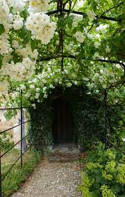 Pin By Bonnie On Love Dream Garden White Gardens Gorgeous Gardens