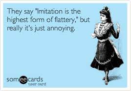 They Say Imitation Is The Highest Form Of Flattery But Really It S Just Annoying Me Quotes Funny Copy Cat Quotes Copying Me Quotes