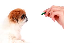 Not only does chewy offer the best pet supplies, but you can also order pet prescriptions and have them . The 10 Best Pet Meds Sites In 2021 Sitejabber Consumer Reviews