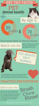 Healthy pets veterinary hospital, san francisco, ca. It S Pet Dental Health Month Keep Your Dog Or Cat S Teeth Healthy With Our Fast Facts More From Pet Dental Health Pet Dental Health Month Dental Health Month