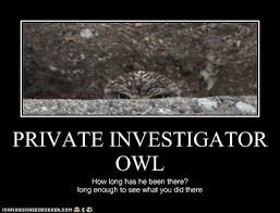 We did not find results for: Career Memes Of The Week Private Investigator Careers Siliconrepublic Com Ireland S Technology News Service