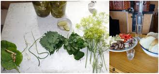 Choose your coffee with the mere touch of a button. Foods Free Full Text Dining Tables Divided By A Border The Effect Of Socio Political Scenarios On Local Ecological Knowledge Of Romanians Living In Ukrainian And Romanian Bukovina Html
