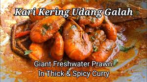 Resepi kari udang ala india 24. Kari Pekat Udang Galah