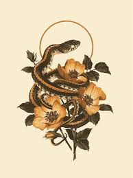 Teagan White Coiled Crushed Snake Art Teagan White Nature Art Prints