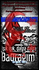 Https Encrypted Tbn0 Gstatic Com Images Q Tbn And9gctxfzs67eaok4j6ycetw380scdkihj28 Mnsg Usqp Cau