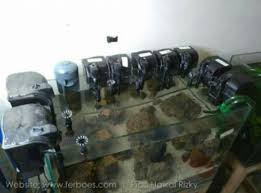 Filter #filteraquarium #aquarium #mediafilter filter aquarium kecil, filter aquarium yang bagus, filter aquarium tanpa listrik, filter. Filter Aquarium Ferboes Com