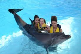 nager avec les dauphins à hurghada