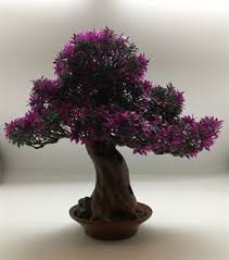 They come into their own though when they flower, which they do at varying times of year. Artificial Bonsai Tree Just Artificial