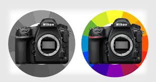 Nikon D850m Vs D850 A Comparison Of Monochrome And Color Dslrs