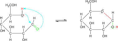 Glucose anomere ☆ chemie lernvideo. 04 1 Ringstruktur Der Monosaccharide