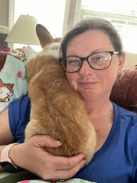 Do other dogs like to lay