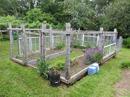 Garden Fence Fenced Vegetable Garden Backyard Vegetable Gardens Garden Fencing