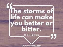 29 Storm Quotes Inspirational Words Of Wisdom