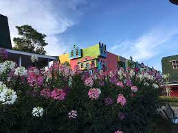 Celosia Flower Garden Bandungan 2021 All You Need To Know Before You Go With Photos Tripadvisor