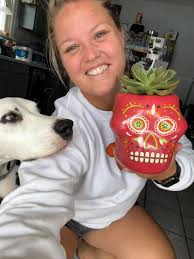 When you bring bits of the AOS with you to work. Comfort measures. Yes,  that is a snuggie in the grey basket! Don't mind the empty planter from  TJ's. My succulent died