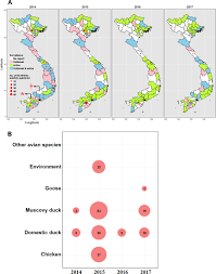 Tổng hợp những tin tức về thanh lam mới nhất: A Systematic Study Towards Evolutionary And Epidemiological Dynamics Of Currently Predominant H5 Highly Pathogenic Avian Influenza Viruses In Vietnam Scientific Reports
