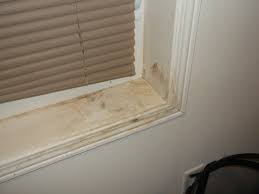 We did not find results for: Learn How To Get Rid Of Mold From Every Home Surface