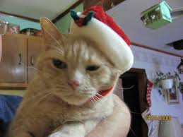 Tom and Jerry are ready for Santa! Jerry is loving that cozy hat trim. 🧣