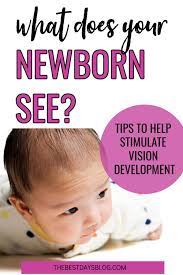 Newborn Vision Development My Newborn Baby Newborn Eyesight Newborn