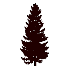 Black Pine Tree Silhouette Ad Sponsored Paid Pine Tree Silhouette Black Black Pine Tree Pine Tree Silhouette Tree Silhouette