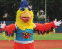 Murder suspect taught area children