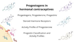Image result for Progestin Activity