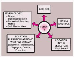 Diagnosis Of Bone Tumors Radiologic And Pathologic Approach Radiology Key