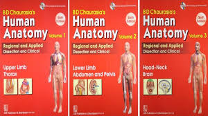 The first fear that every medical student faces is the fear of new long words; Bd Chaurasia Human Anatomy Ebook Download Free In Pdf Format
