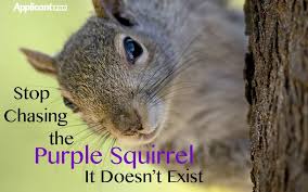 Stop Chasing The Purple Squirrel It Doesn T Exist Applicantpro